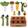 Bebamour Montessori Sensory Baby Toy Playset for Infants, Indoor Developmental Play Set - Tiny Adventures